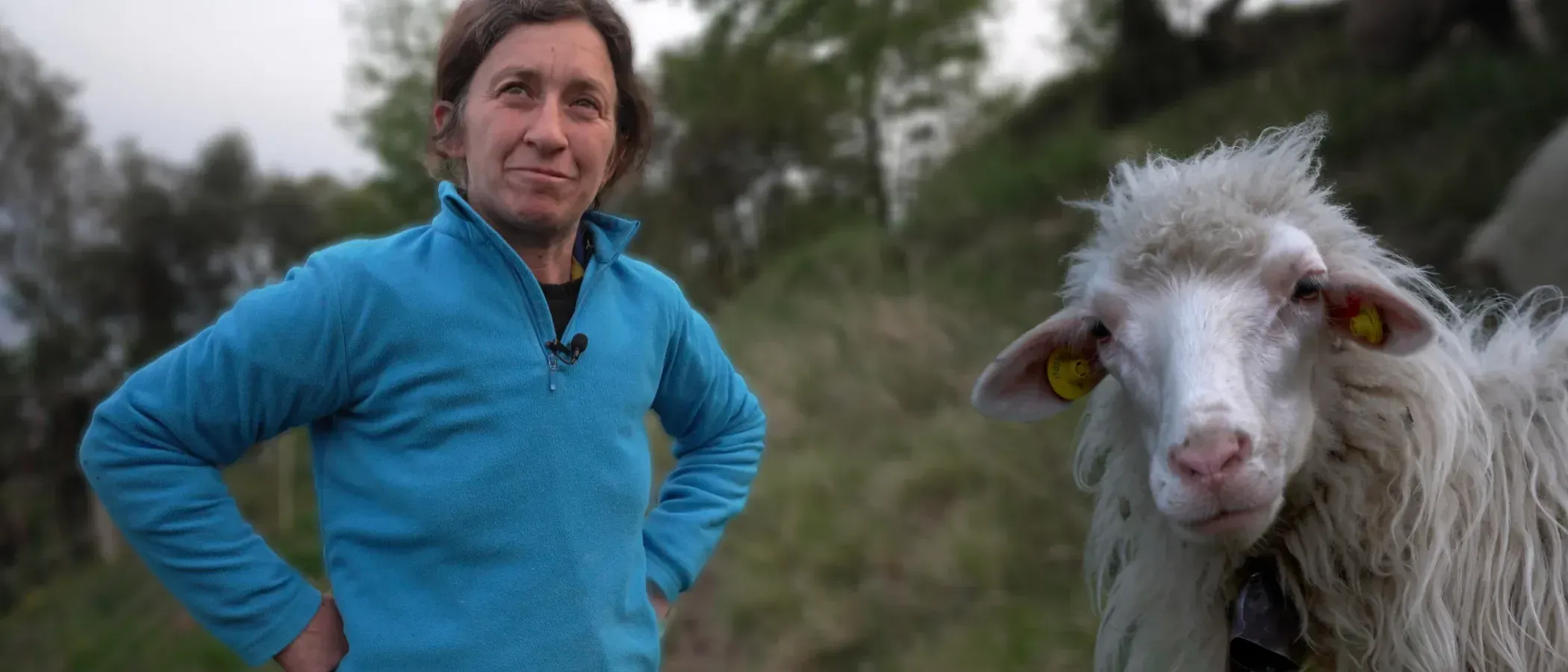 Produzioni video narrative