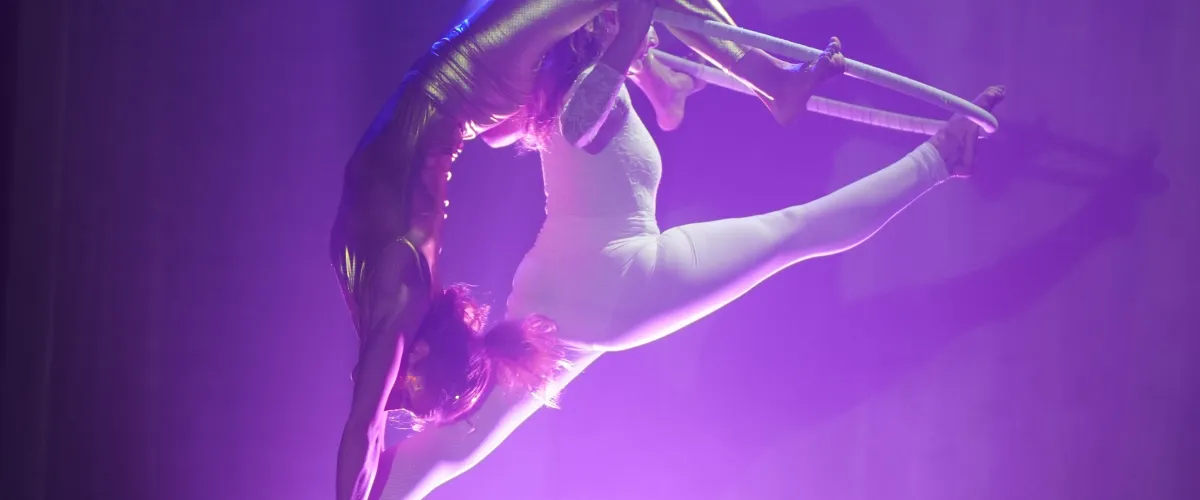 Due - Saggio di Danza Aerea